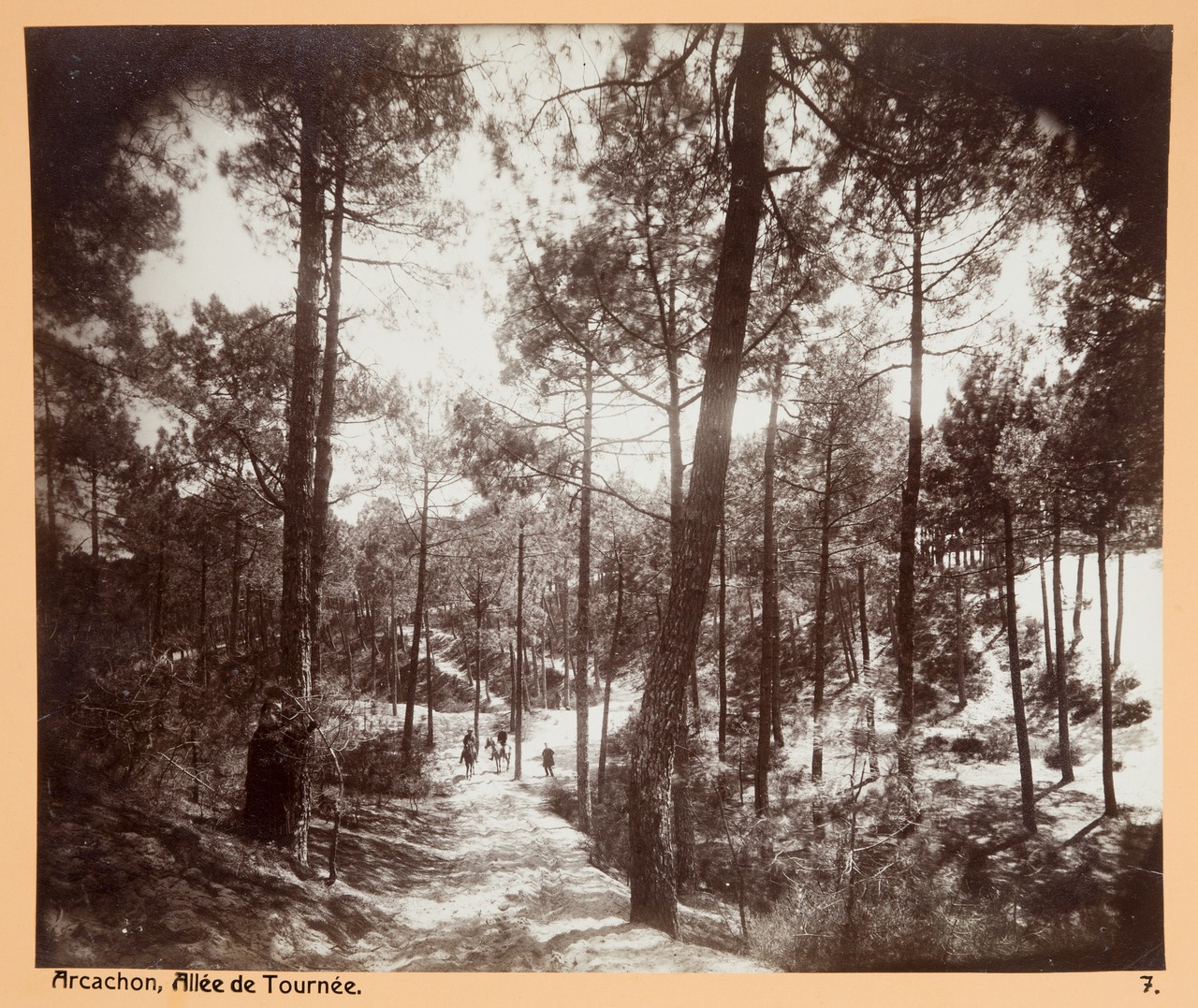 2.1. site pinède immo AVANT