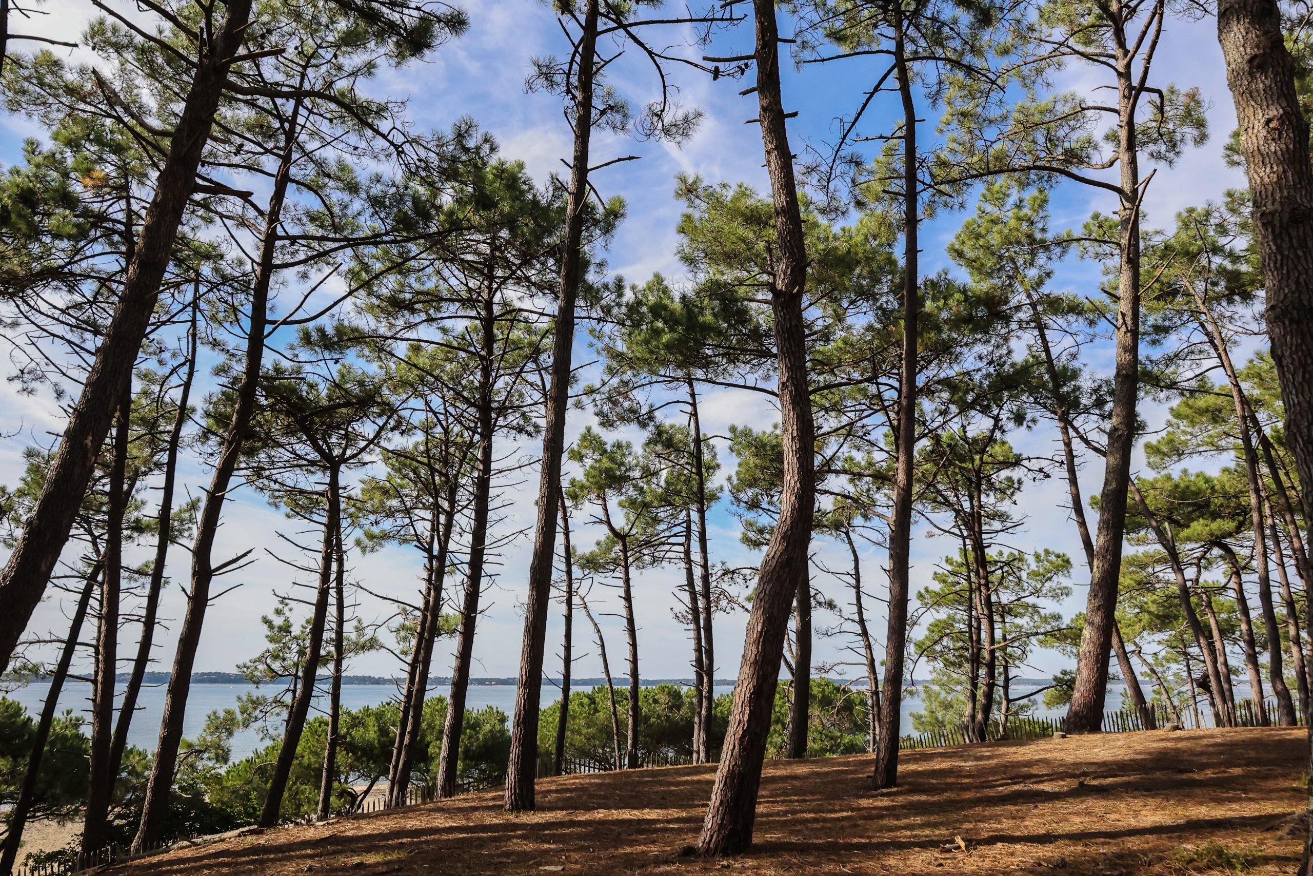 2.2.-site-APRES-scaled