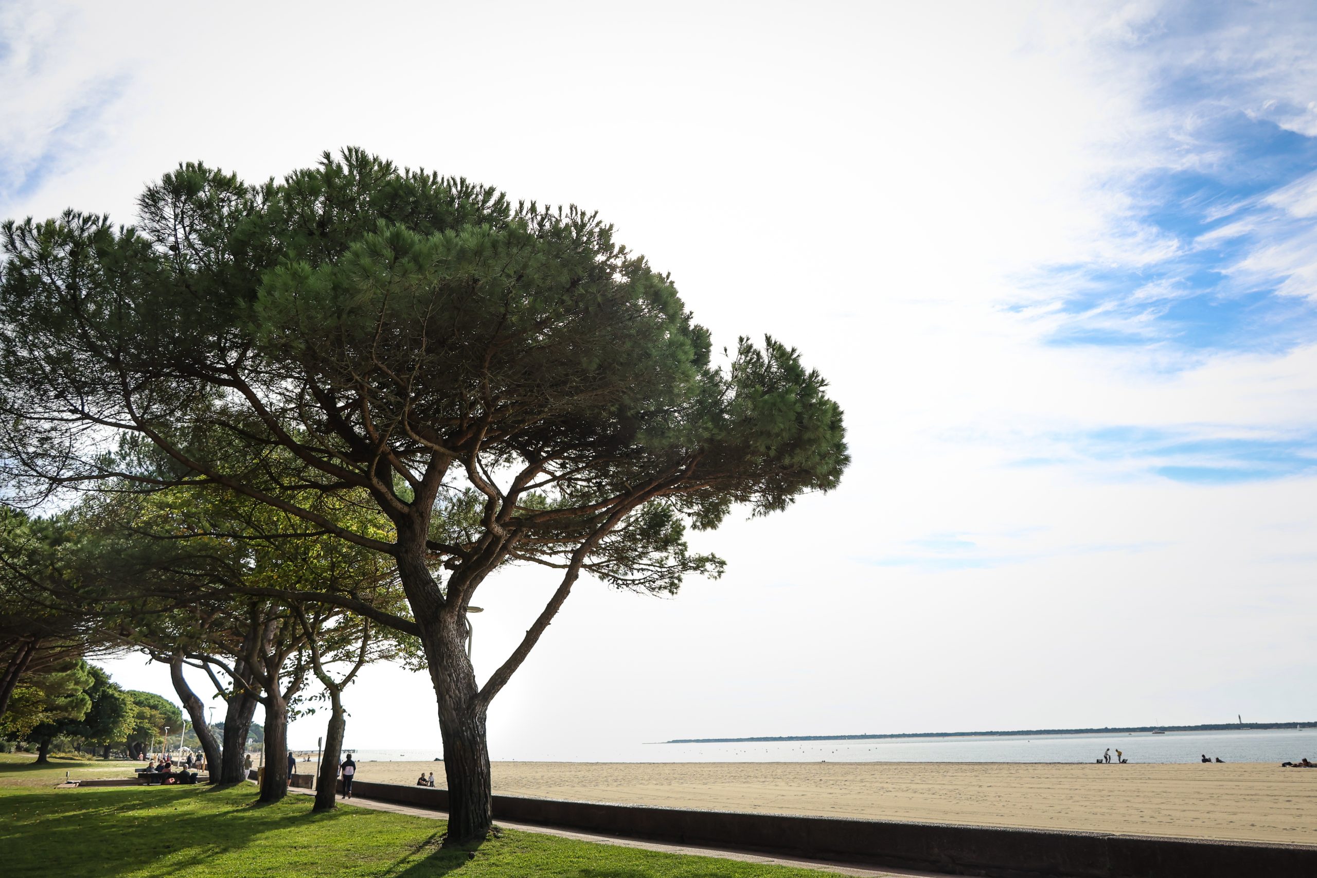 2.3.-site-pinede-immo-scaled